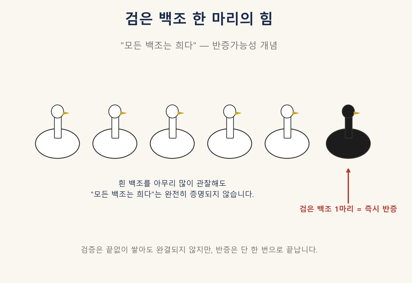 검은 백조 반증 사례 도식 — 반증가능성 개념 설명